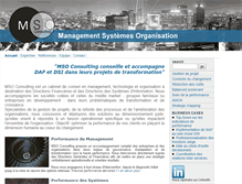 Tablet Screenshot of mso-consulting.com